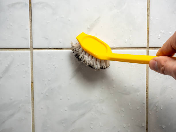 Best Toxic Mold Removal  in York, AL