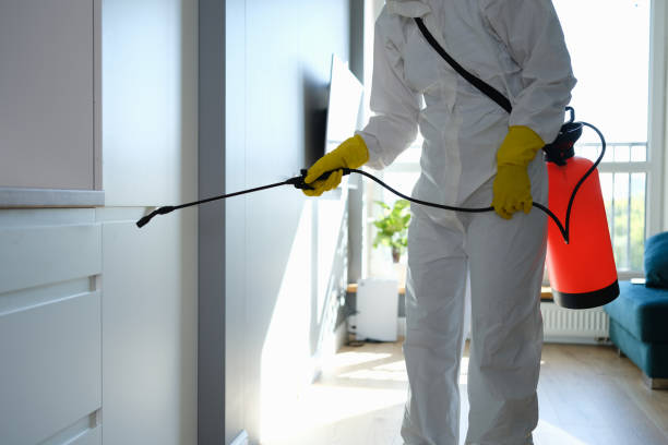 Best Mold Testing  in York, AL