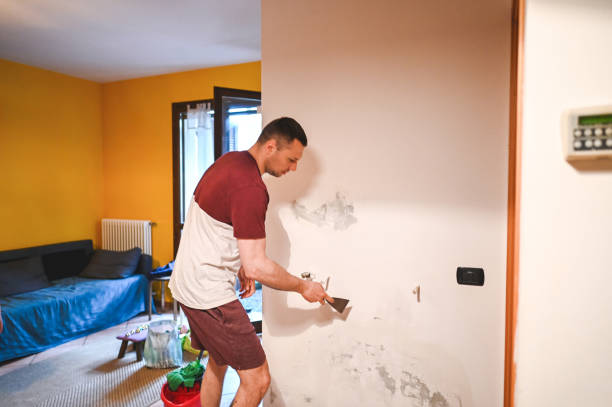 Best Residential Mold Removal  in York, AL